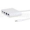 USB 3.1 集线适配器